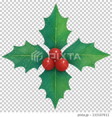 冬青和紅色漿果插圖 - 可用於聖誕裝飾的水彩葉子素材 133107611