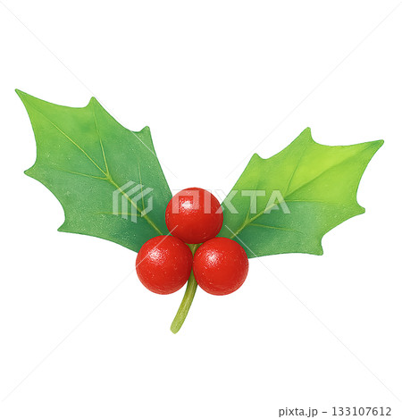 「ヒイラギと赤い実のイラスト・クリスマス装飾に使える水彩風の葉素材 「ヒイラギと赤い実のイラスト・クリスマス装飾に使える水彩風の葉素材 133107612