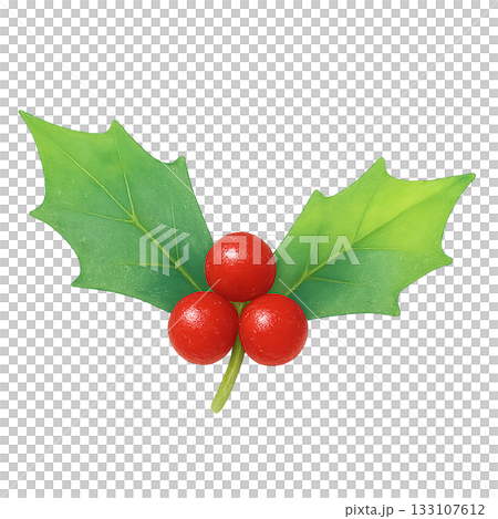 冬青和紅色漿果插圖 - 可用於聖誕裝飾的水彩葉子素材 133107612