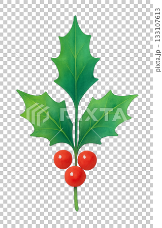 Illustration of holly and red berries - watercolor leaf material that can be used for Christmas decorations Illustration of holly and red berries - watercolor leaf material that can be used for Christmas decorations 133107613