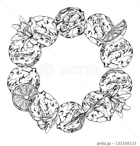 Gelato scoops with orange citrus slices, vanilla flower pods, melted syrup trickle. graphic wreath frame illustration hand drawn in vector ink. Dessert label, frozen snack topping decor, cafe signage Gelato scoops with orange citrus slices, vanilla flower pods, melted syrup trickle. graphic wreath frame illustration hand drawn in vector ink. Dessert label, frozen snack topping decor, cafe signage 133108115