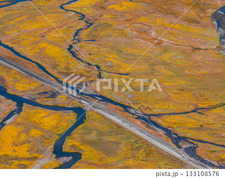 Aerial view of winding streams cutting through golden autumn vegetation in Iceland, with a straight road bisecting the vibrant natural landscape. 133108576