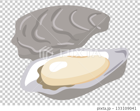 Simple vector illustration of fresh oysters. Luxury seafood material. 133109041