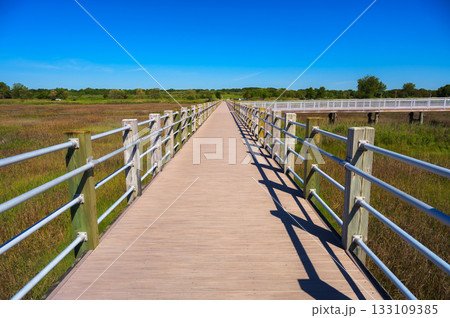 Boardwalk Through Marsh at Silver Sands State Park, Connecticut Boardwalk Through Marsh at Silver Sands State Park, Connecticut 133109385