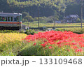 ローカル線が走る農村の秋の風景 133109468