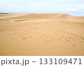 鳥取砂丘の遠景 133109471