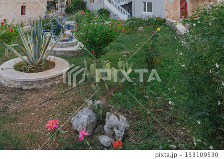 Cozy traditional courtyard of a mediterranean house with stone and greenery Cozy traditional courtyard of a mediterranean house with stone and greenery 133109530