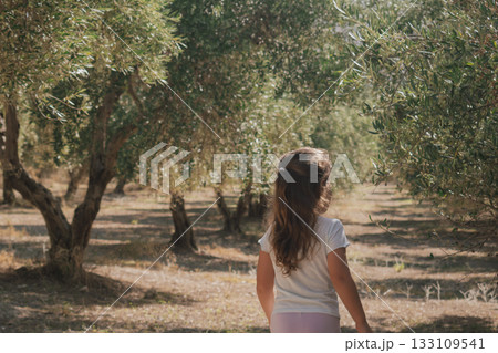 Little girl walking through a sunny mediterranean olive grove in the countryside Little girl walking through a sunny mediterranean olive grove in the countryside 133109541