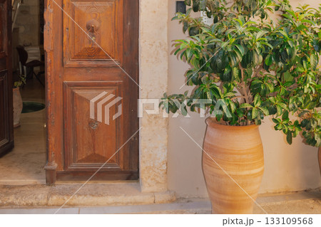 Lush, glossy green foliage in large terracotta pot next to antique wooden door Mediterranean stone wall. Classic Southern European 133109568