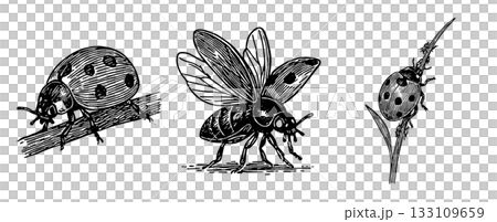 瓢蟲迷你筆插畫套裝 133109659