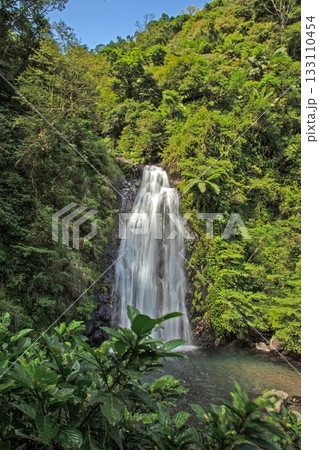 Waterfall in lush subtropical forest in Taiwan 133110454