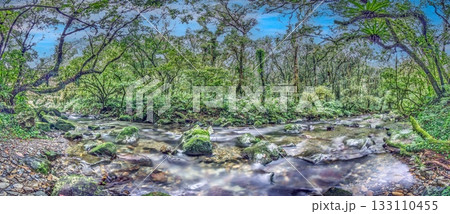 Panoramic rainforest river in Taiwan with mossy rocks Panoramic rainforest river in Taiwan with mossy rocks 133110455