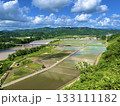新潟県の田園風景 133111182