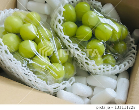 宅配のシャインマスカット 133111228