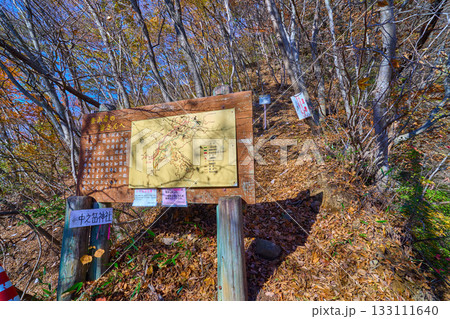 秋の群馬県の妙義山の中之嶽神社につながる見晴台付近の一般向けと熟練者向け登山道の分岐道標 133111640