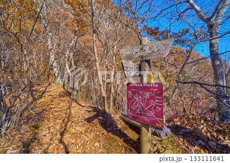 秋の群馬県の妙義山の中之嶽神社につながる見晴台付近の分岐道標 133111641