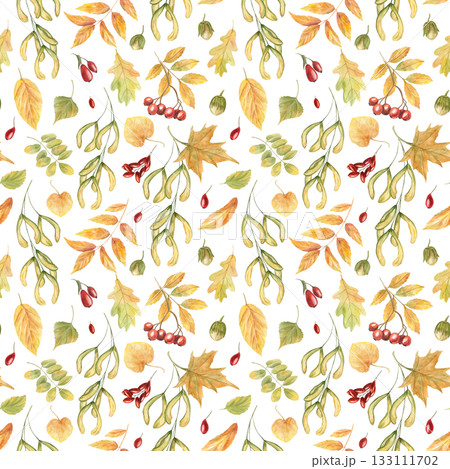 Watercolor autumn leaves and berries seamless pattern on isolated background. Maple, oak, acer, ash leaf, rowan and barberry ornate. Floral illustration for textile design, rustic kitchen decor. Watercolor autumn leaves and berries seamless pattern on isolated background. Maple, oak, acer, ash leaf, rowan and barberry ornate. Floral illustration for textile design, rustic kitchen decor. 133111702