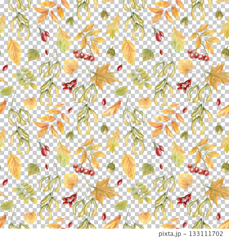 Watercolor autumn leaves and berries seamless pattern on isolated background. Maple, oak, acer, ash leaf, rowan and barberry ornate. Floral illustration for textile design, rustic kitchen decor. Watercolor autumn leaves and berries seamless pattern on isolated background. Maple, oak, acer, ash leaf, rowan and barberry ornate. Floral illustration for textile design, rustic kitchen decor. 133111702