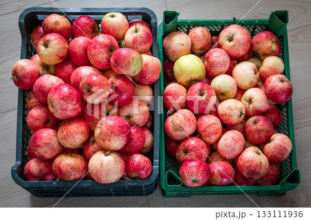 Two crates filled with freshly harvested red apples on wooden floor, organic fruit collection from 133111936