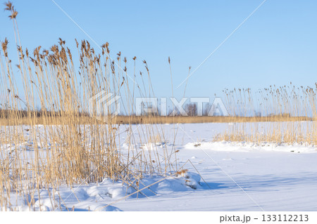 A serene winter landscape photography featuring snow-covered Baltic sea 133112213