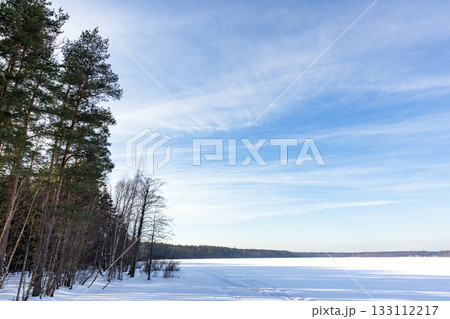 Snowy forest scene with a frozen lake and clear blue sky. Tall pines and bare trees 133112217