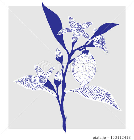 green branch with leaves 133112418