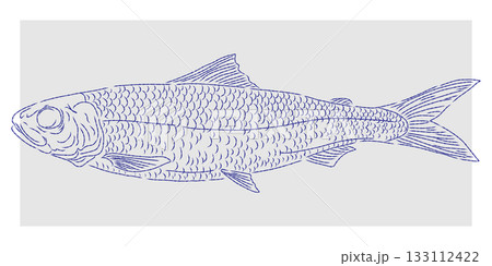 tuna fish in line style tuna fish in line style 133112422