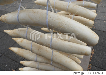 練馬大根のたくわん干し 漬物作り タクワン作り 練馬大根のたくわん干し 漬物作り タクワン作り 133112661