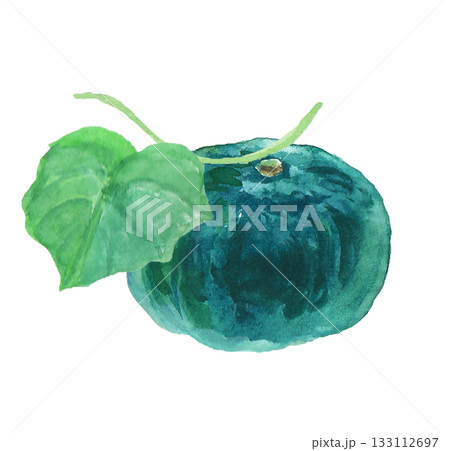 水彩絵の具で描いたリアルなかぼちゃのイラスト 水彩絵の具で描いたリアルなかぼちゃのイラスト 133112697