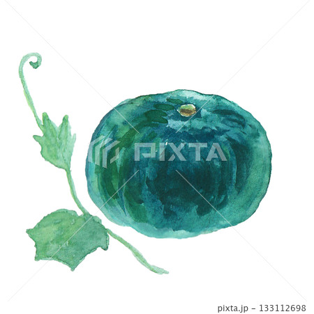 水彩絵の具で描いたリアルなかぼちゃのイラスト 133112698