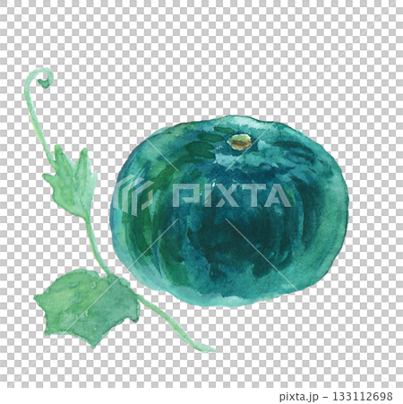 一幅用水彩繪製的逼真南瓜插畫 一幅用水彩繪製的逼真南瓜插畫 133112698