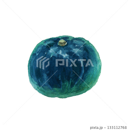 水彩絵の具で描いたリアルなかぼちゃのイラスト 水彩絵の具で描いたリアルなかぼちゃのイラスト 133112768