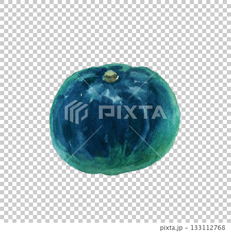 水彩絵の具で描いたリアルなかぼちゃのイラスト 水彩絵の具で描いたリアルなかぼちゃのイラスト 133112768