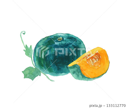 水彩絵の具で描いたリアルなかぼちゃのイラスト 133112770