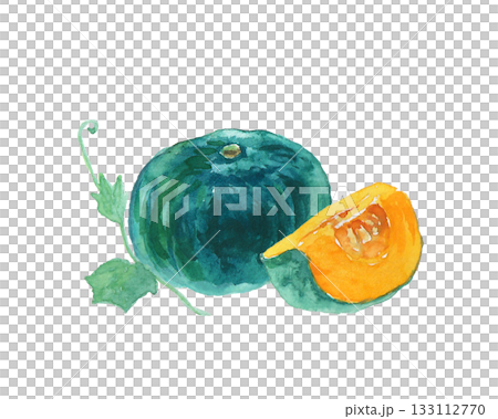 水彩絵の具で描いたリアルなかぼちゃのイラスト 133112770