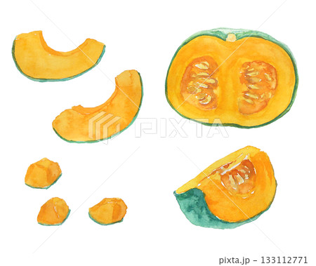 水彩絵の具で描いたリアルなかぼちゃのイラストセット 水彩絵の具で描いたリアルなかぼちゃのイラストセット 133112771