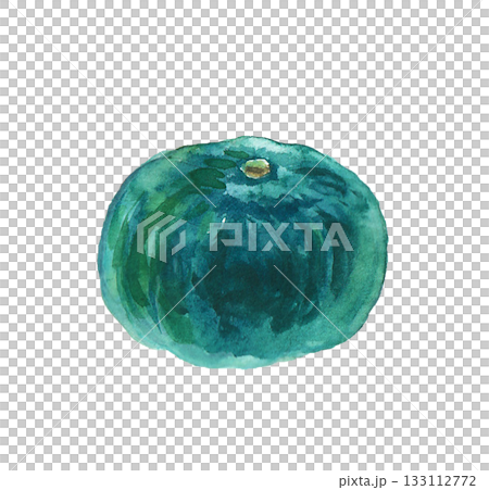 一幅用水彩繪製的逼真南瓜插畫 一幅用水彩繪製的逼真南瓜插畫 133112772