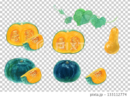 一組用水彩繪製的逼真南瓜插圖 一組用水彩繪製的逼真南瓜插圖 133112774