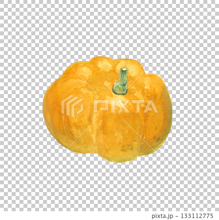 一幅用水彩繪製的逼真黃色南瓜插圖 一幅用水彩繪製的逼真黃色南瓜插圖 133112775