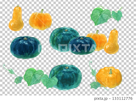 一組用水彩繪製的逼真南瓜插圖 一組用水彩繪製的逼真南瓜插圖 133112776