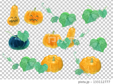水彩絵の具で描いたリアルなかぼちゃのイラストセット 133112777