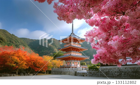 Ancient Kiyomizu dera pagoda standing between vibrant cherry blossoms and colorful autumn maple trees in Kyoto, Japan, symbolizing seasonal beauty and traditional culture 133112802