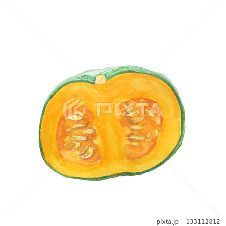 水彩絵の具で描いたリアルなかぼちゃのイラスト 133112812