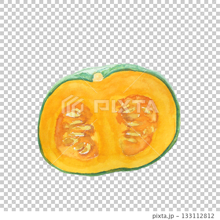 水彩絵の具で描いたリアルなかぼちゃのイラスト 133112812