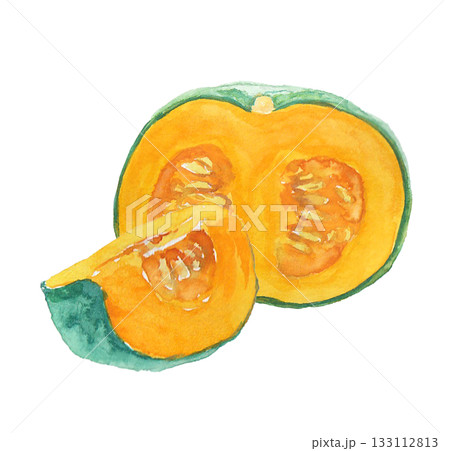 水彩絵の具で描いたリアルなかぼちゃのイラスト 水彩絵の具で描いたリアルなかぼちゃのイラスト 133112813