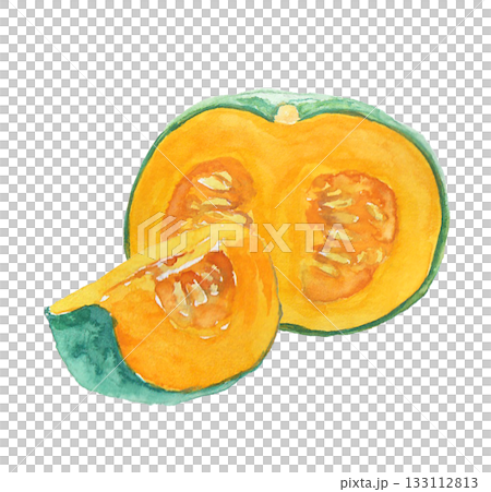 水彩絵の具で描いたリアルなかぼちゃのイラスト 水彩絵の具で描いたリアルなかぼちゃのイラスト 133112813