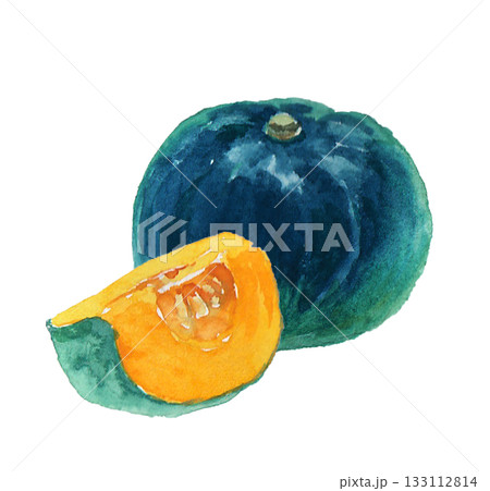 水彩絵の具で描いたリアルなかぼちゃのイラスト 133112814