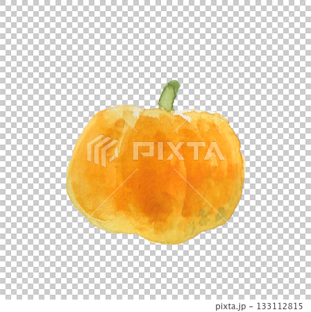 一幅用水彩繪製的逼真黃色南瓜插圖 一幅用水彩繪製的逼真黃色南瓜插圖 133112815