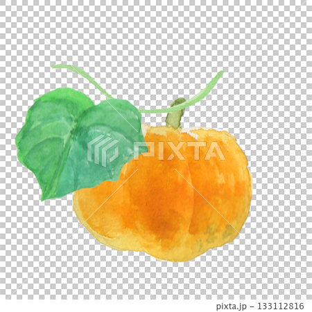 一幅用水彩繪製的逼真南瓜插畫 133112816