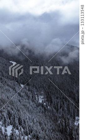 Snowy Forested Mountains in Winter Fog 133113548